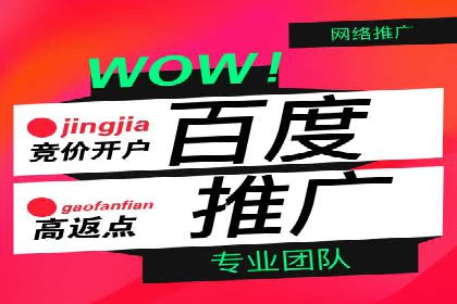 行业应用案例：SEM代运营公司的智慧与策略